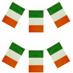 decorative mini polyester irish bunting banner flag