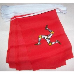 isle of Man 6 meters bunting flag 20 flags 9'' x 6'' - manx - english string flags 15 x 21 cm