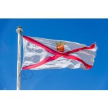 Flag of Jersey with high quality and any size