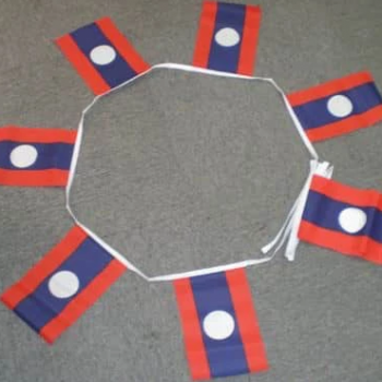 8 meters string rectangle Laos bunting flags for event