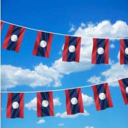 Decorative polyester Laos country bunting flag for sale