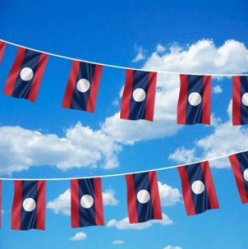 decorative polyester laos country bunting flag for sale