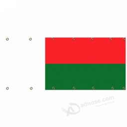 Customized Logo banner Madagascar mesh flag for Tailgating