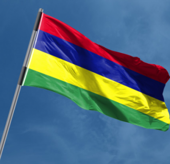 factory sale directly standard size mauritius flag