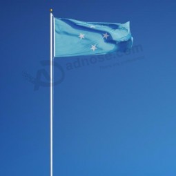 Cheap stock 10*15cm 4*6inches Federated States of Micronesia hand stick flag