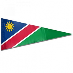 china supplier triangle namibia country flag bunting