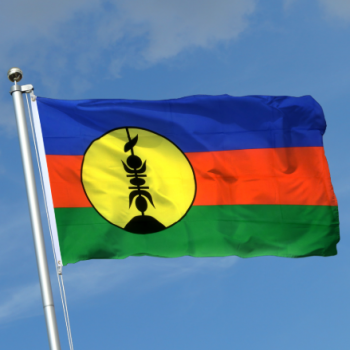 factory price polyester promotional New caledonia flag