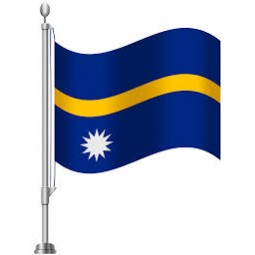 Manufacturers custom high-end Nauru Flag with good price