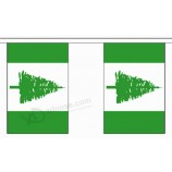 호주 노퍽 섬 지역 문자열 20 플래그 폴리 에스터 소재 깃발 천-6m (20 ') 긴