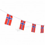 Mini Norwegian String Flag Norway Bunting Banner