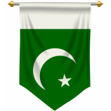 Decotive Pakistan national Pennant flag for hanging
