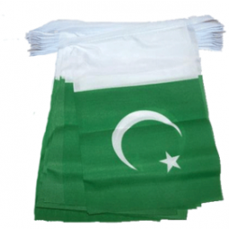 Decorative Pakistan National string Flag bunting