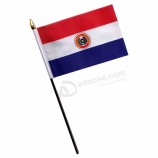 Fã torcendo nacional pequeno Paraguai mão agitando bandeira