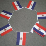 Decorative Mini Polyester Paraguay Bunting Banner Flag