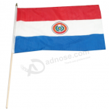 Custom Polyester Mini Hand Paraguay national Flag