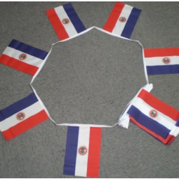 Paraguay country bunting flag banners for celebration