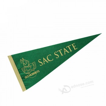 Promotion College Customized Triangle Felt Pennant
