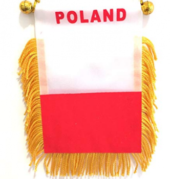 Small mini car window rearview mirror Poland flag