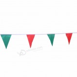 Professional Direct Factory Commercial Flag Buntings