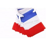 Custom france string flag, france bunting flag