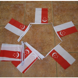 Decorative Polyester Singapore Bunting Banner Flag