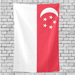 tamanho personalizado poliéster nacional cingapura bandeira banner