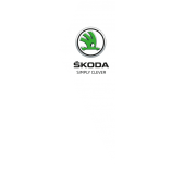 Hot sale high-end skoda flag with any size