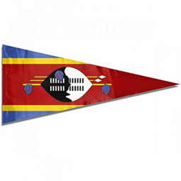 High Quality Custom Triangle Swaziland Bunting for Decorative