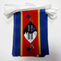 Decorative Mini Polyester Swaziland Bunting Banner Flag