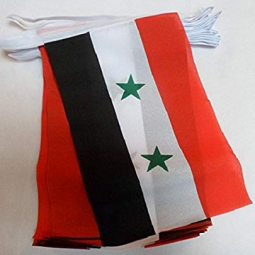 Decorative Mini Polyester Syria Bunting Banner Flag