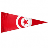Printed national country triangle Tunisia bunting flags
