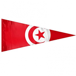 Printed national country triangle Tunisia bunting flags