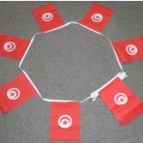 Football Sports Promotion 75D Polyester Mini Tunisia Flag Bunting