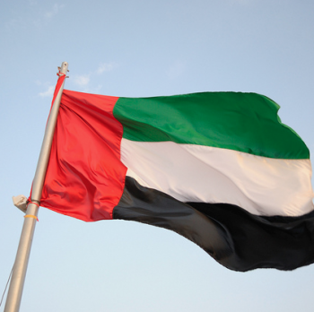 De Verenigde Arabische Emiraten vlag VAE vlag wereld vlag