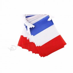 Custom 10m 14*21cm france string flag, france bunting flag