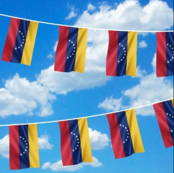 decoratieve venezuela nationale tekenreeks vlag venezuela bunting banner