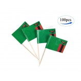 Zambia Flag Zambian Flags,100 Pcs Cupcake Toppers Flag, Country Toothpick Flag,Small Mini Stick Flags