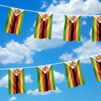 promotie polyester mini zimbabwe vlag string bunting