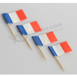 Promotional Printed Handheld Flags Food Stick Flag