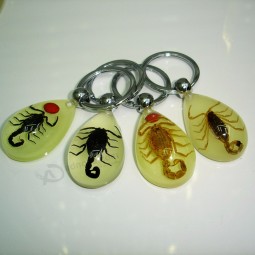 Scorpion Glow Lucite Keyring Keychain Insect Jewelry Taxidermy Gift