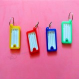 Plastic Rectangle Keychains luggage tag Pet Tags key ID Label for hotel