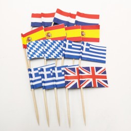 Flag Picks National Country Flag Toothpick