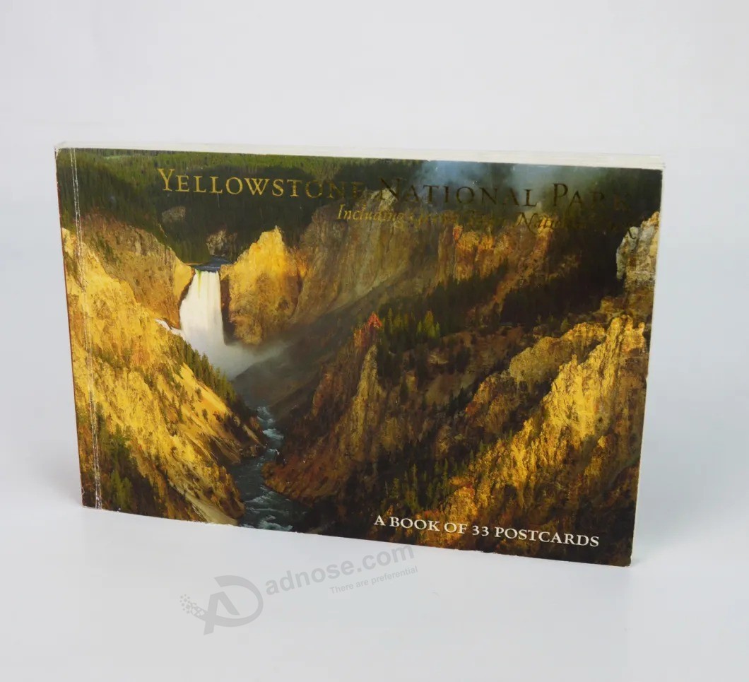 High quality Postcard book Printing factory Hot stamping Book printing Service