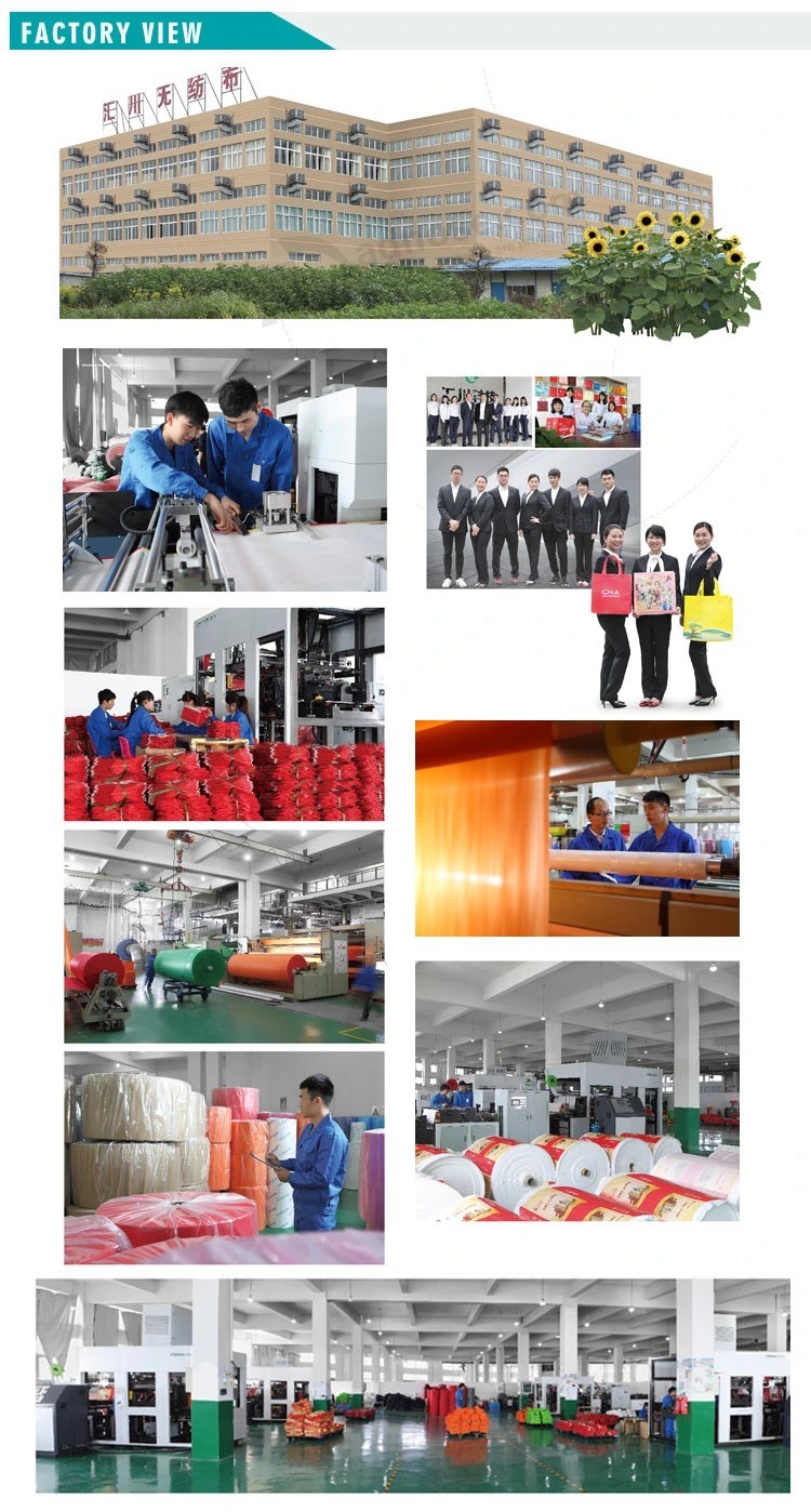 BSCI 감사 중국 제조 업체 비 짠 초음파 가방 쇼핑백