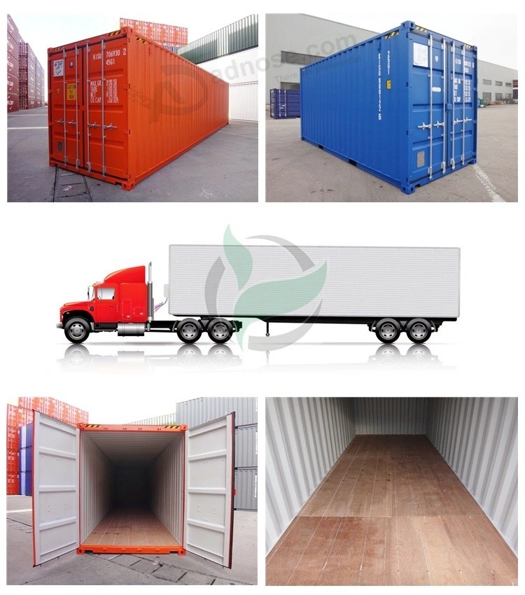 28 mm dik Multiplex container Houten vloer Fenolplaat Container Onderdelen