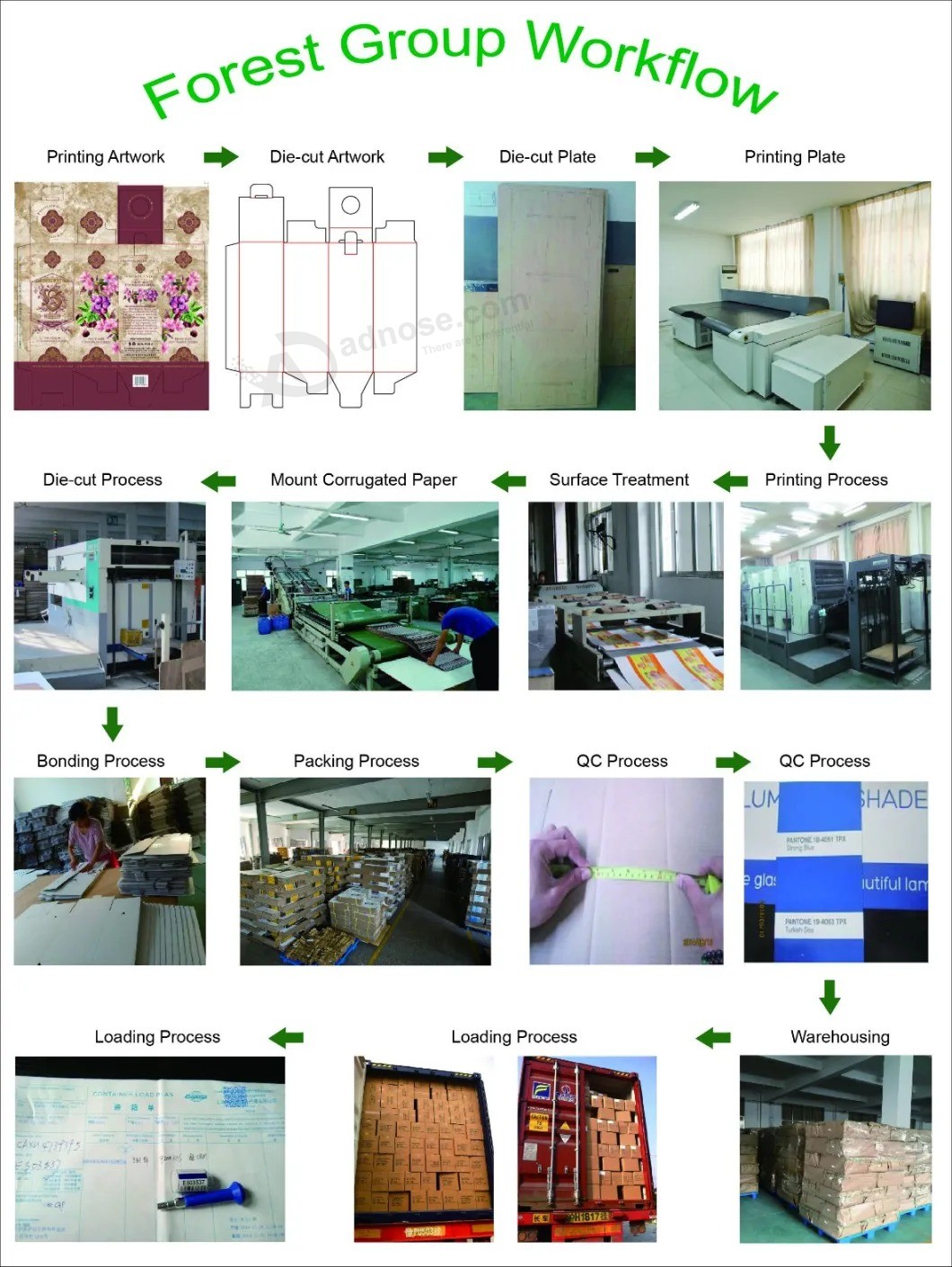 Customized Printed Color Booklet Cuctomized Catalogue