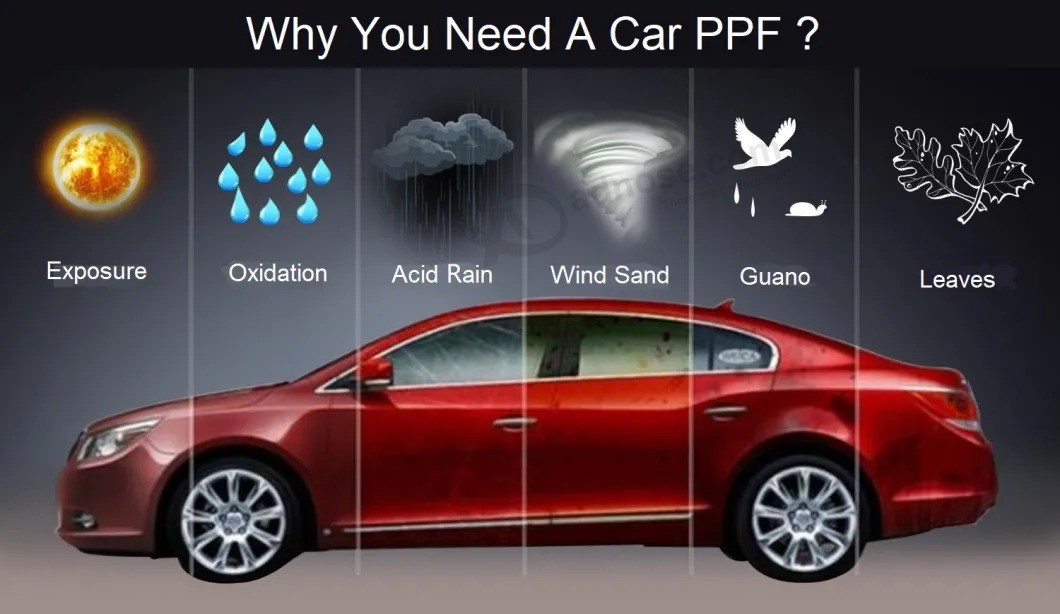 Anti Scratch Self - Repair Car Paint Protect Transparent Auto Body Film Car Wrap Sticker TPU Ppf