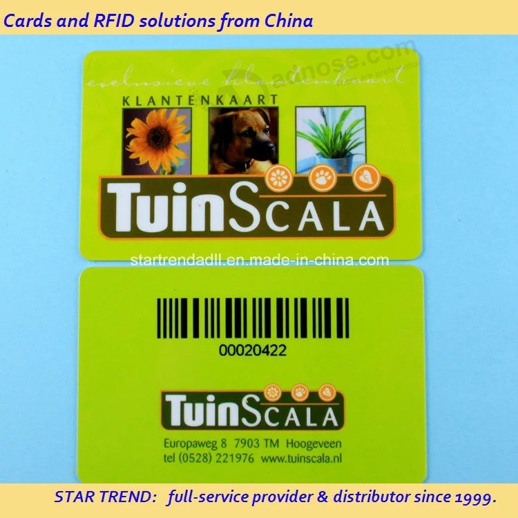 Custom PVC Card Different Barcodes Foiling Gold PVC Business Cards