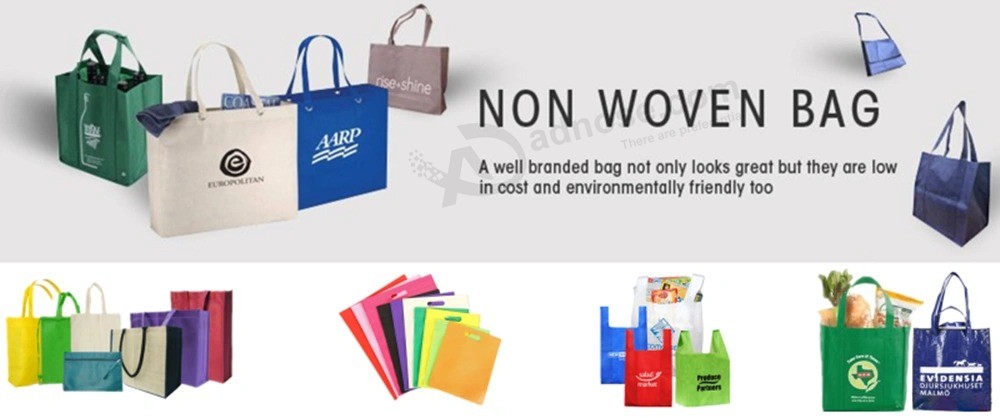 China Factory Supply Non-Woven Bag/Foldable Non Woven Shopping Bag/Logo Printed Non Woven Carrier Bag