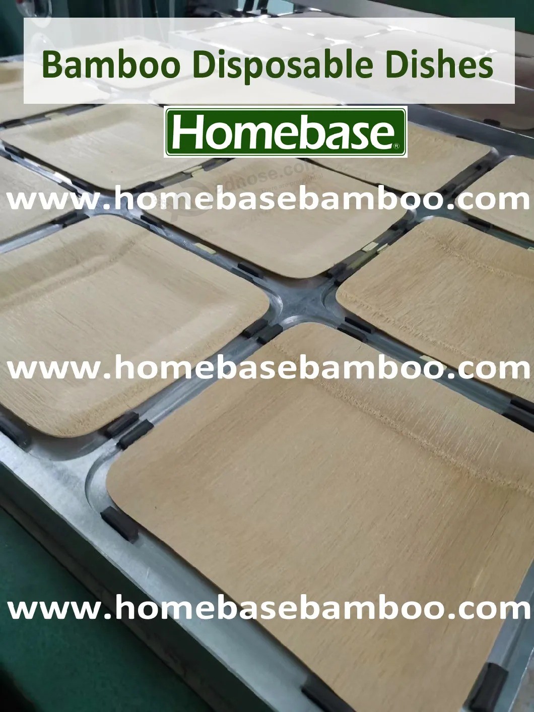 Biodegradable Eco Disposable Bamboo Plate Dinnerware